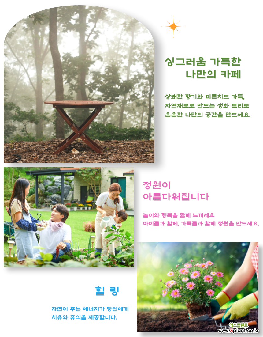 붓들레아 리틀화이트 DT 더블유가든 - 엑스플랜트