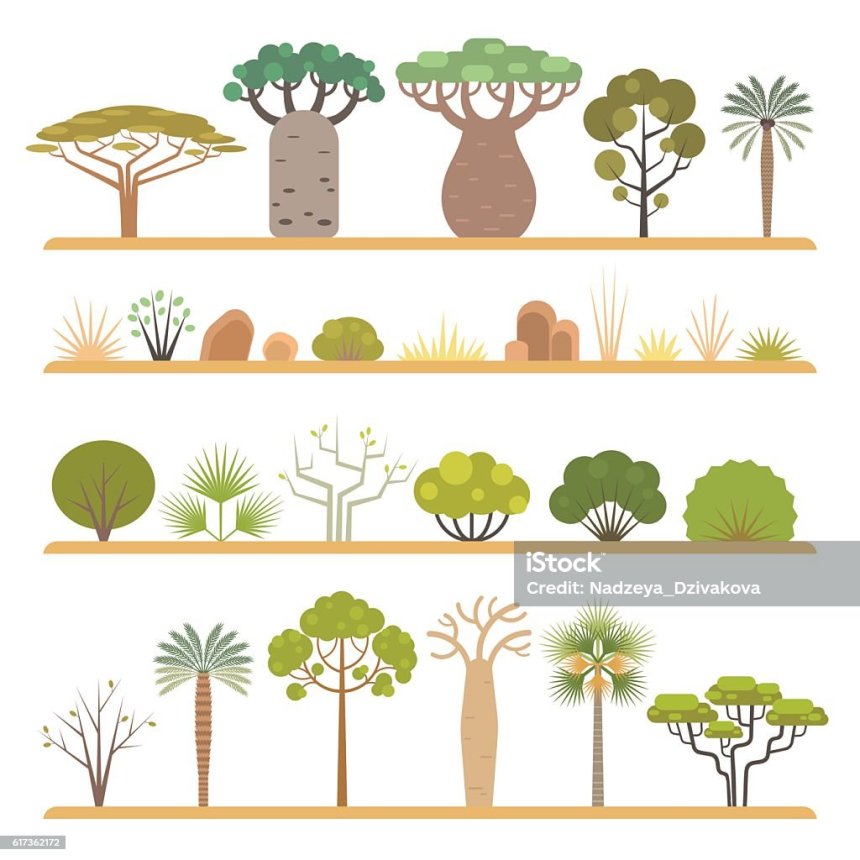 아프리카식물 업데이트!: 우량아집합소