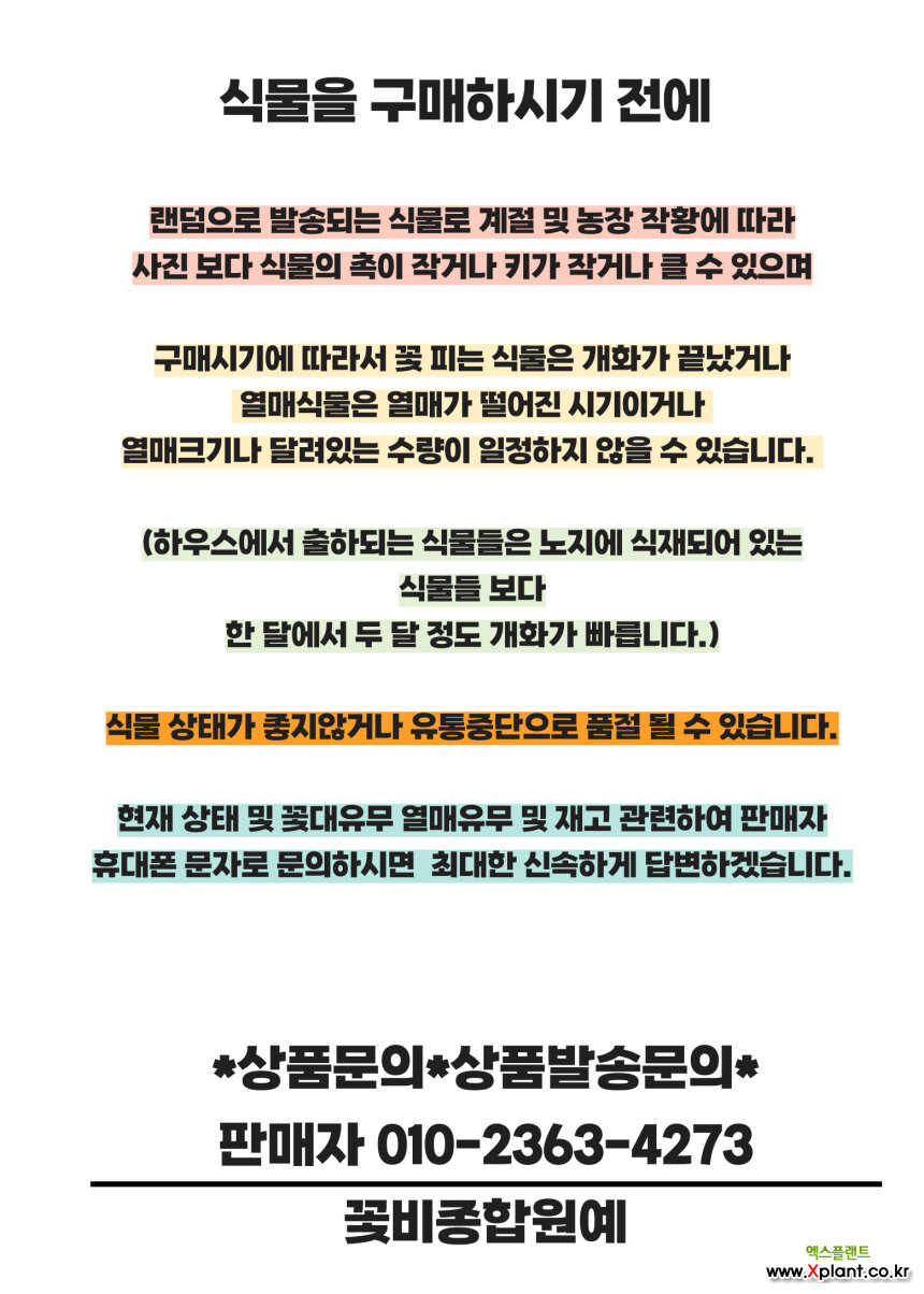 무늬워터코인 소품79 수경재배가능 꽃비종합원예 : 야생화무늬종 - 엑스플랜트