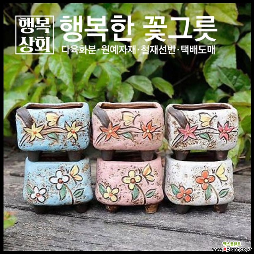 모모01 다육화분 인테리어화분 다육이화분 행복상회 행복한꽃그릇 : 다육화분 - 엑스플랜트
