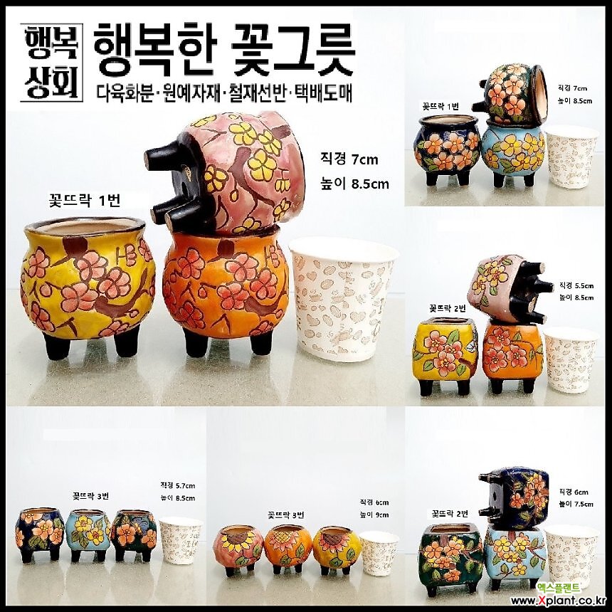 꽃뜨락6종/행복한꽃그릇 : 다육화분 - 엑스플랜트
