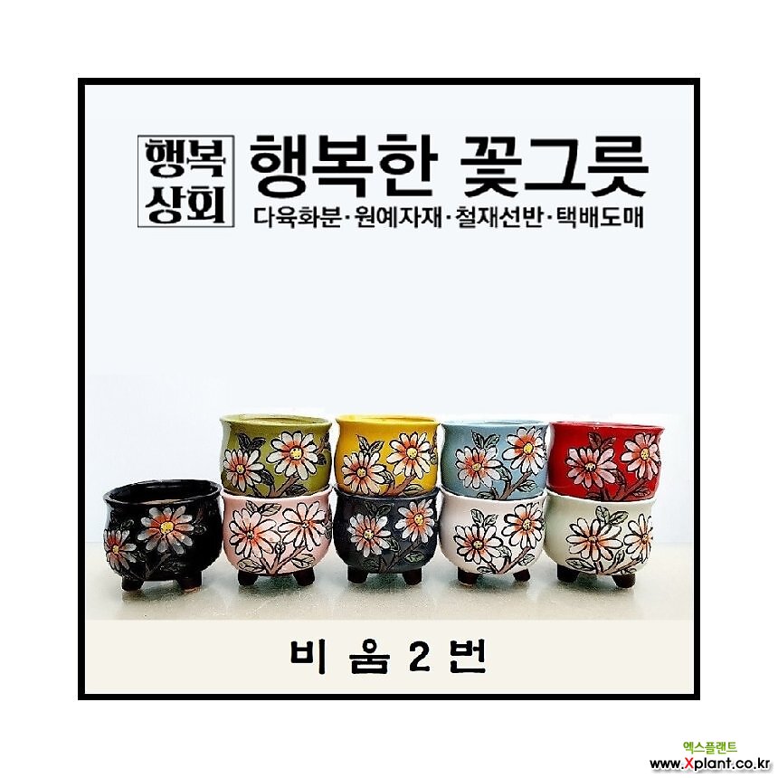 비움2번/행복한꽃그릇/행복상회 : 다육화분 - 엑스플랜트