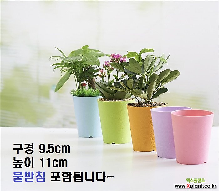 칼라원형[받침포함]플분/고급형/플라스틱화분/행복한꽃그릇