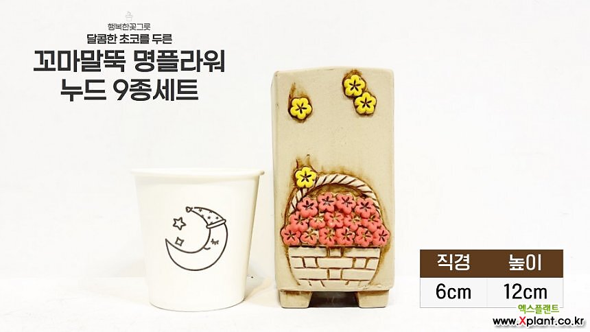 꼬마말뚝누드9종.꼬마명누드9종.명플라워.미니화분.다육화분.행복상회.행복한꽃그릇 : 다육화분 - 엑스플랜트