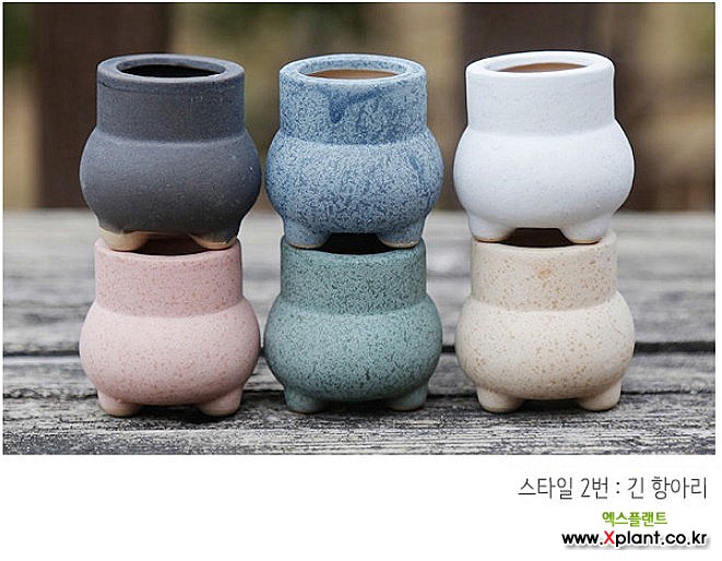 초미니 다육화분 6종 엄지화분6종 : 다육화분 - 엑스플랜트