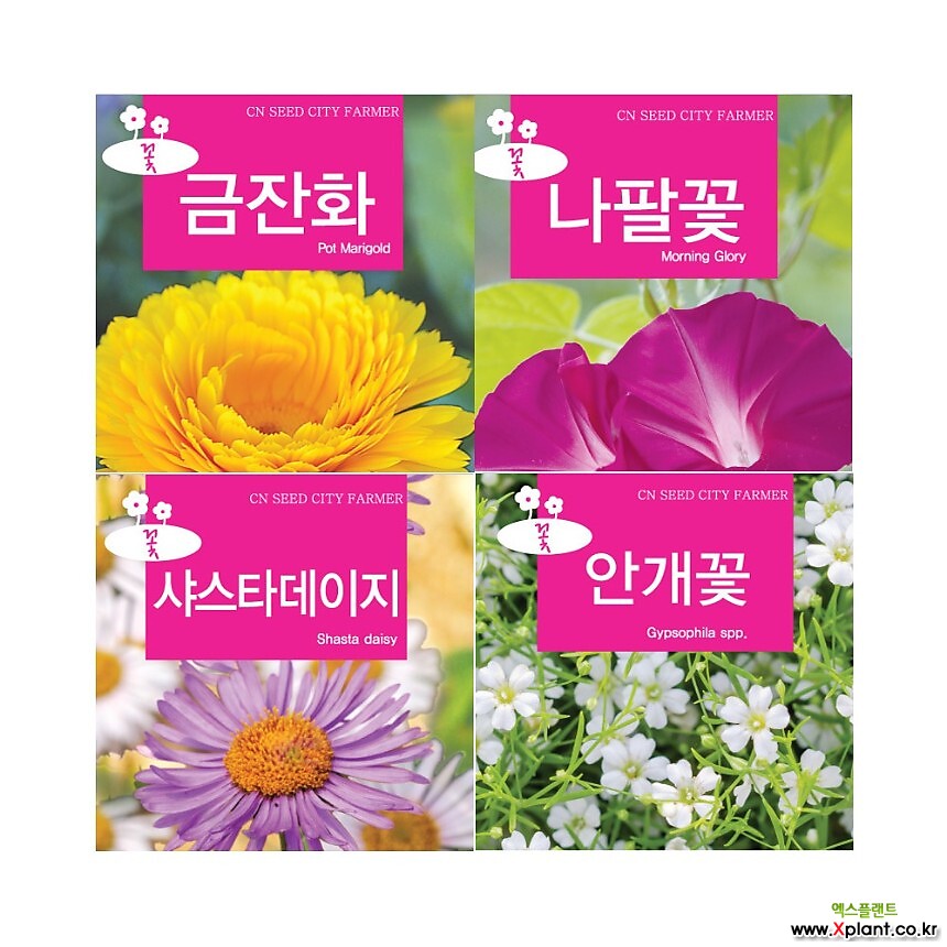 꽃씨,허브씨앗,다년생,노지월동,야생화,봄꽃,꽃씨앗,종자 - 엑스플랜트