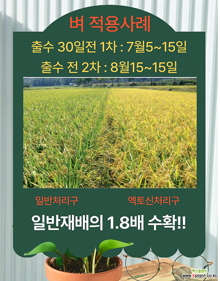 화아분아촉진 수정률증가 엑토신500ml : 비료/영양제/활력제 - 엑스플랜트