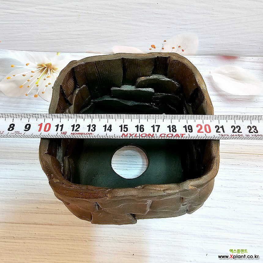 소담 다육화분 수제화분 : 다육화분 - 엑스플랜트