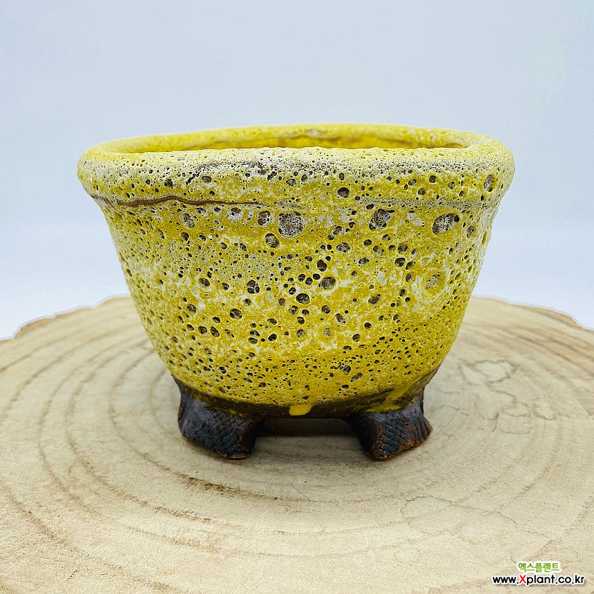 예운 수제다육화분 수제화분 다육화분 화분 Handmade Pot : 다육화분 - 엑스플랜트