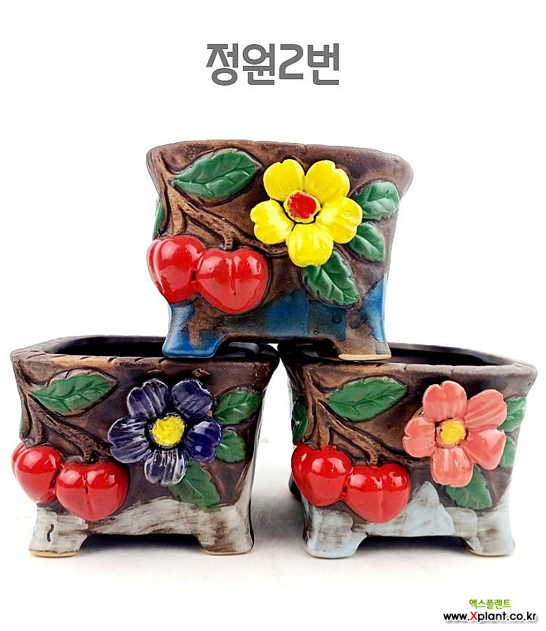 뜰이네 3종세트 화려한 코사지 중형 사각 다육이 세트화분 : 다육화분 - 엑스플랜트