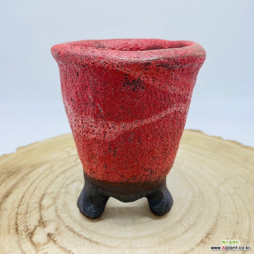 예운 수제다육화분 수제화분 다육화분 화분 Handmade Pot : 다육화분 - 엑스플랜트