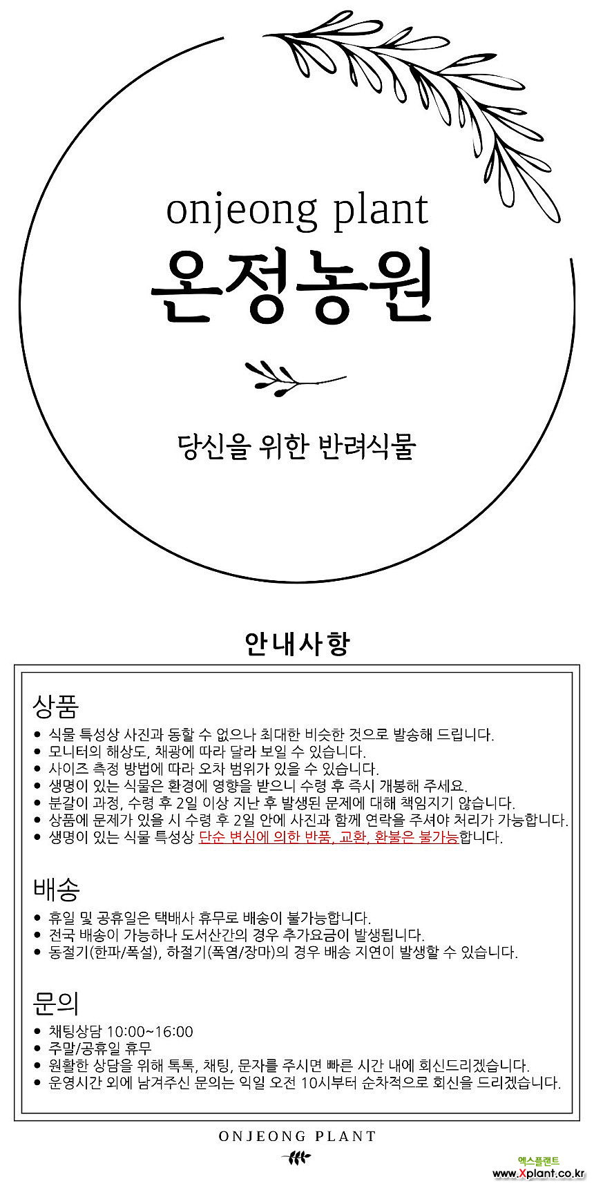 온정농원 아스코센다반다 한정수량 : 공기정화식물 - 엑스플랜트