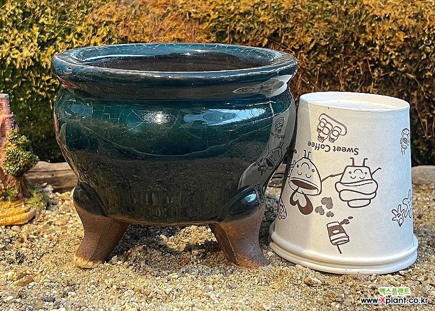 예운수제화분-21 : 다육화분 - 엑스플랜트