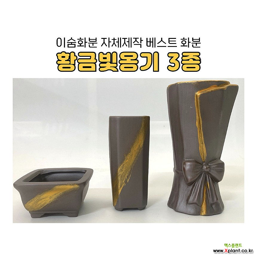 이숨화분 자체제작 황금빛 옹기화분 3종 세트 : 다육화분 - 엑스플랜트