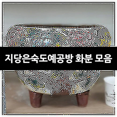 지당은숙도예공방 화분 모음 : 다육화분 - 엑스플랜트