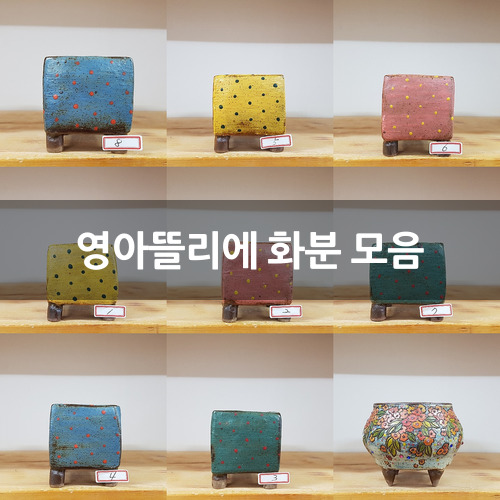영아뜰리에 화분 모음 : 다육화분 - 엑스플랜트