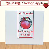인디고애플 토마토 Indigo Apple Tomato