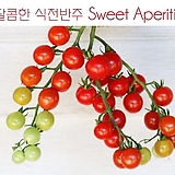 달콤한 식전반주 Sweet Aperitif 방울토마토 달콤한 희귀토마토 교육체험용 세트