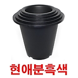 플라스틱 화분 국화 저렴한 가벼운 화분 CW현애분(검정)