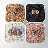 모래네 백사 핑크사 황금사 흑사 1kg 복토 화장토 예쁜돌 꾸밈돌 자연석