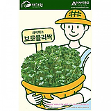 아시아종묘/새싹씨앗 브로콜리싹(1kg) 새싹채소