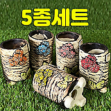 국산수제화분 도향155(5종세트)