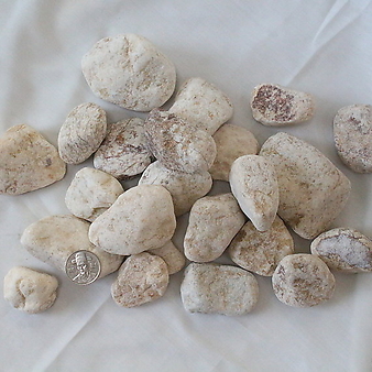 장식자갈1kg(내츄럴)스톤 자갈 돌 분갈이 화분 장식용돌 마감재료