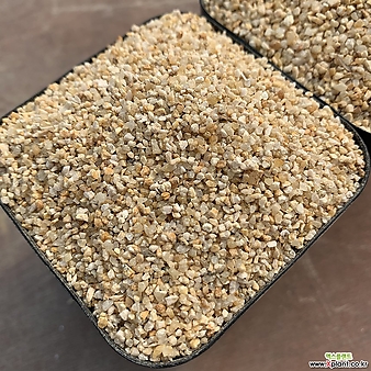 울산황금모래2호1kg(약1.5-2.5mm정도/복토,파종,수석장식)