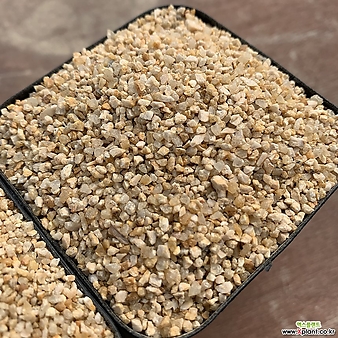 울산황금모래3호1kg(약2-3mm정도/복토,파종,수석장식)