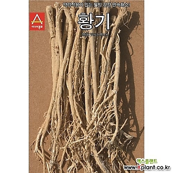 아시아종묘/황기씨앗종자 황기(3g)