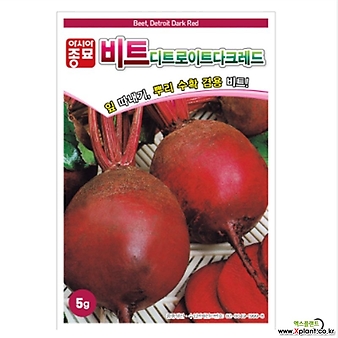아시아종묘/비트종자씨앗 디트로이트다크레드 비트(250g)
