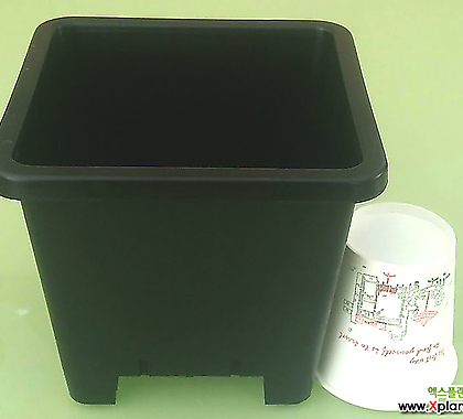 도매-1BOX(120개) 4호 플분15cm 플라스틱화분 사각포트