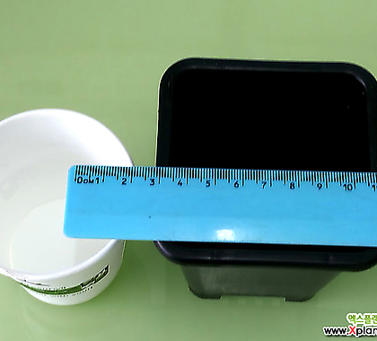 도매-1BOX(350개) 1.5호 플분8.5cm 검정플분 플라스틱화분 사각포트
