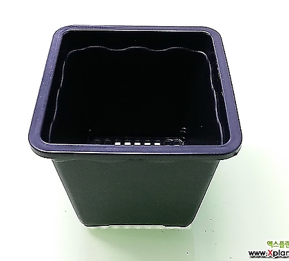 A도매-1BOX(200개) 2호 플분10cm 검정플분 플라스틱화분 사각포트