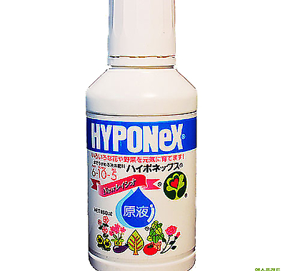 하이포넥스 레이쇼원액160ml/ 식물 영양제 (기본에 충실한 영양제) 다육영양제