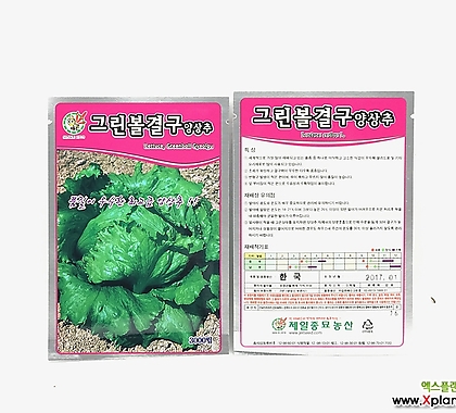 씨앗-035/그린볼결구양상추/제일종묘/양상추/채소