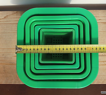 녹색 플분 6호 23cm 1BOX(50개)