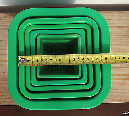 녹색플분 5호 18cm 1BOX(100개)