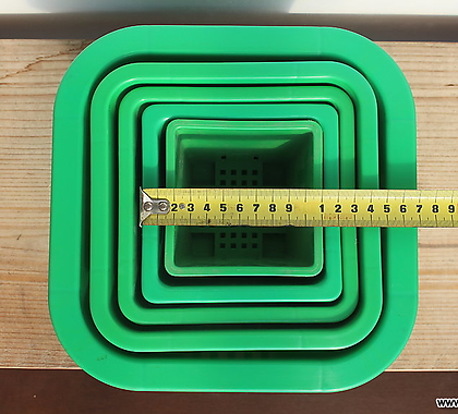 녹색플분 3호 12cm 1BOX(150개)