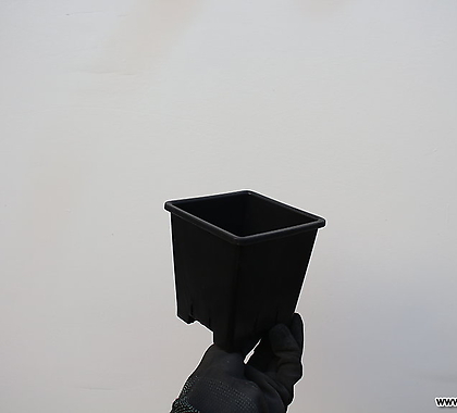 튼튼플분2호(10cm/200개/도매1box)(플라스틱)