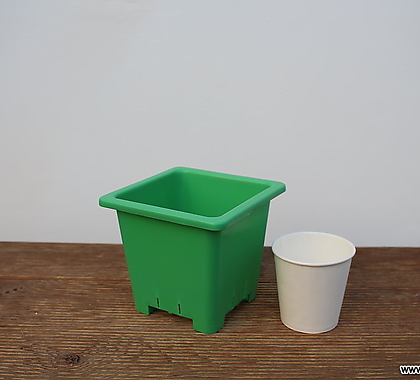 튼튼녹색플분3호(12cm/150개/도매1box)(플라스틱)