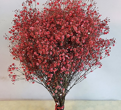 안개 - 프리저브드 색 안개 꽃(빨강색) / 중국산