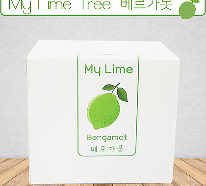 나만의라임나무 베르가못라임 Bergamot Lime