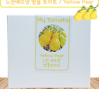 노란배모양 방울 토마토 Yellow Pear Tomato 가보토마토