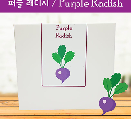 키우기세트 퍼플 래디시 Purple Radish 학습자료 퍼플래디시 보라무