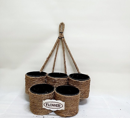 코코넛5구식물벽걸이(식물10cm)