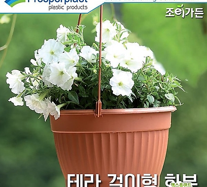 [조이가든][Prosperplast] 테라 걸이형화분 (벽걸이 걸이화분 플라스틱화분 공중식물 행잉식물)