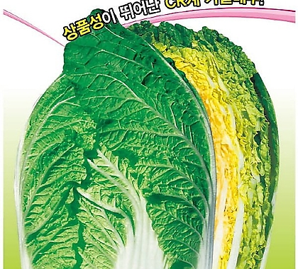 아시아종묘/배추씨앗종자 휘모리골드 (100립)
