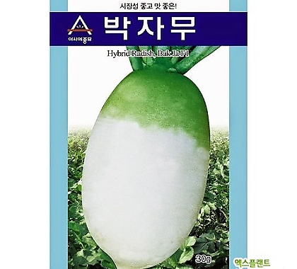 아시아종묘 무씨앗종자 박자무(2000립)