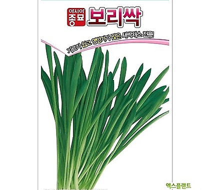 (아시아종묘/새싹종자씨앗) 보리싹(30g)